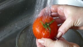 Φρέσκες ντομάτες πλυσιμάτων κάτω από τη βρύση απόθεμα βίντεο Φρέσκες ντομάτες πλυσιμάτων κάτω από τη βρύση απόθεμα βίντεο