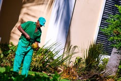 Φρέσκια καρύδα σπασιμάτων ατόμων με το μεγάλο μαχαίρι στοκ φωτογραφία Φρέσκια καρύδα σπασιμάτων ατόμων με το μεγάλο μαχαίρι στοκ φωτογραφία