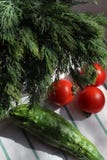 Φρέσκοι άνηθος ντοματών και αγγούρι σε μια πετσέτα κουζινών, σκληρό φως στοκ εικόνα Φρέσκοι άνηθος ντοματών και αγγούρι σε μια πετσέτα κουζινών, σκληρό φως στοκ εικόνα
