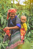 Φυλή Ομάν Hmong που φέρνει το παιδί της στο σακίδιο πλάτης της στο Βιετνάμ στοκ φωτογραφία με δικαίωμα ελεύθερης χρήσης Φυλή Ομάν Hmong που φέρνει το παιδί της στο σακίδιο πλάτης της στο Βιετνάμ στοκ φωτογραφία με δικαίωμα ελεύθερης χρήσης