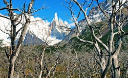 Φυσικό τοπίο αγριοτήτων με Cerro Torre στοκ εικόνα με δικαίωμα ελεύθερης χρήσης Φυσικό τοπίο αγριοτήτων με Cerro Torre στοκ εικόνα με δικαίωμα ελεύθερης χρήσης