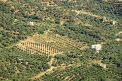 Φυτείες ελιών Κρήτη, Ελλάδα, Ευρώπη στοκ φωτογραφία με δικαίωμα ελεύθερης χρήσης Φυτείες ελιών Κρήτη, Ελλάδα, Ευρώπη στοκ φωτογραφία με δικαίωμα ελεύθερης χρήσης