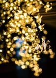 Φω'τα χριστουγεννιάτικων δέντρων με το bokeh στοκ εικόνες Φω'τα χριστουγεννιάτικων δέντρων με το bokeh στοκ εικόνες