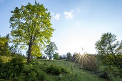 φωτεινός ήλιος Ακτίνες ήλιων στη φύση carpathians Τα βουνά Ο ήλιος στοκ φωτογραφία φωτεινός ήλιος Ακτίνες ήλιων στη φύση carpathians Τα βουνά Ο ήλιος στοκ φωτογραφία
