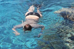 Φωτογράφος γυναικών που βουτά στο νερό της Ερυθράς Θάλασσας στοκ φωτογραφίες με δικαίωμα ελεύθερης χρήσης Φωτογράφος γυναικών που βουτά στο νερό της Ερυθράς Θάλασσας στοκ φωτογραφίες με δικαίωμα ελεύθερης χρήσης
