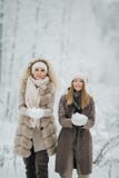 Φωτογραφία δύο blondes που ρίχνουν το χιόνι στον περίπατο στο χειμερινό δάσος στοκ εικόνες με δικαίωμα ελεύθερης χρήσης Φωτογραφία δύο blondes που ρίχνουν το χιόνι στον περίπατο στο χειμερινό δάσος στοκ εικόνες με δικαίωμα ελεύθερης χρήσης