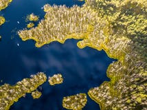 Φωτογραφία κηφήνων του ζωηρόχρωμου βαλτοτόπου στην ανατολή αρχών του καλοκαιριού στοκ φωτογραφίες με δικαίωμα ελεύθερης χρήσης Φωτογραφία κηφήνων του ζωηρόχρωμου βαλτοτόπου στην ανατολή αρχών του καλοκαιριού στοκ φωτογραφίες με δικαίωμα ελεύθερης χρήσης