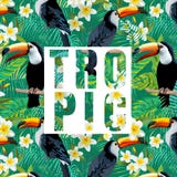 φύλλα λουλουδιών τροπ&iota πουλί toucan Στοκ εικόνα με δικαίωμα ελεύθερης χρήσης φύλλα λουλουδιών τροπ&iota πουλί toucan Στοκ εικόνα με δικαίωμα ελεύθερης χρήσης