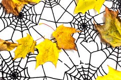 Φύλλα φθινοπώρου και μαύρο spiderweb ως υπόβαθρο αποκριών στοκ φωτογραφία με δικαίωμα ελεύθερης χρήσης Φύλλα φθινοπώρου και μαύρο spiderweb ως υπόβαθρο αποκριών στοκ φωτογραφία με δικαίωμα ελεύθερης χρήσης