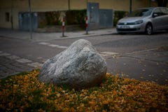 Φύλλα Ginkgo γύρω από μια πέτρα στοκ εικόνες Φύλλα Ginkgo γύρω από μια πέτρα στοκ εικόνες