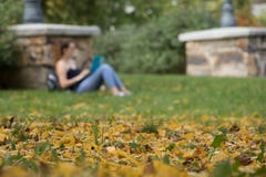 Φύλλωμα, πτώση και ζωή πανεπιστημιουπόλεων στοκ φωτογραφίες Φύλλωμα, πτώση και ζωή πανεπιστημιουπόλεων στοκ φωτογραφίες
