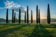 Χαρακτηριστικό tuscan τοπίο στοκ εικόνες Χαρακτηριστικό tuscan τοπίο στοκ εικόνες