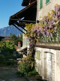 Χαρακτηριστικό ελβετικό σπίτι με το πορφυρό λουλούδι στο μπαλκόνι στοκ φωτογραφία με δικαίωμα ελεύθερης χρήσης Χαρακτηριστικό ελβετικό σπίτι με το πορφυρό λουλούδι στο μπαλκόνι στοκ φωτογραφία με δικαίωμα ελεύθερης χρήσης
