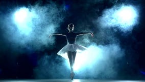 Χαριτωμένο ballerina που κάνει ένα workout απόθεμα βίντεο Χαριτωμένο ballerina που κάνει ένα workout απόθεμα βίντεο