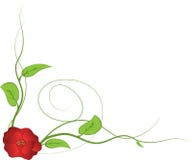 χαριτωμένος floral καρτών ανασ&kapp επίσης corel σύρετε το διάνυσμα απεικόνισης Στοκ φωτογραφίες με δικαίωμα ελεύθερης χρήσης χαριτωμένος floral καρτών ανασ&kapp επίσης corel σύρετε το διάνυσμα απεικόνισης Στοκ φωτογραφίες με δικαίωμα ελεύθερης χρήσης