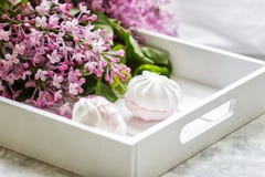 Χειροποίητα marshmallows εξυπηρέτησαν σε ένα κιβώτιο δώρων και μια ανθοδέσμη μιας πασχαλιάς o στοκ φωτογραφίες Χειροποίητα marshmallows εξυπηρέτησαν σε ένα κιβώτιο δώρων και μια ανθοδέσμη μιας πασχαλιάς o στοκ φωτογραφίες