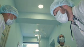 Χειρούργοι που εξετάζουν κάτω υπομονετικό να πάρει έτοιμοι για την επείγουσα χειρουργική επέμβαση Χειρούργοι που εξετάζουν κάτω υπομονετικό να πάρει έτοιμοι για την επείγουσα χειρουργική επέμβαση