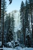 Χιονώδεις πτώσεις Yosemite δέντρων ανώτερες χαμηλότερες στοκ εικόνες με δικαίωμα ελεύθερης χρήσης Χιονώδεις πτώσεις Yosemite δέντρων ανώτερες χαμηλότερες στοκ εικόνες με δικαίωμα ελεύθερης χρήσης