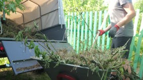 Χλόη και απορρίμματα φορτίων εργαζομένων της Farmer σε ένα φορτηγό ρυμουλκών από wheelbarrow με τα pitchforks και τα χέρια άτομο φιλμ μικρού μήκους Χλόη και απορρίμματα φορτίων εργαζομένων της Farmer σε ένα φορτηγό ρυμουλκών από wheelbarrow με τα pitchforks και τα χέρια άτομο φιλμ μικρού μήκους