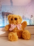 Χνουδωτός teddy αντέχει κάθεται στο windowsill με ένα υγρό γυαλί από τη βροχή στοκ εικόνες Χνουδωτός teddy αντέχει κάθεται στο windowsill με ένα υγρό γυαλί από τη βροχή στοκ εικόνες