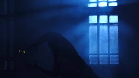 Χορεύοντας σύγχρονος σκιαγραφιών κοριτσιών στο backlight του σεληνόφωτου από το παράθυρο απόθεμα βίντεο Χορεύοντας σύγχρονος σκιαγραφιών κοριτσιών στο backlight του σεληνόφωτου από το παράθυρο απόθεμα βίντεο