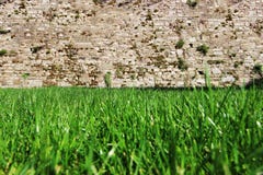 Χρόνος άνοιξη για τον Απρίλιο του 2019 της Ιστανμπούλ, χλοώδης τομέας μέχρι τη φωτεινής και ηλιόλουστης ημέρα τοίχων, Μεγάλη άποψ στοκ φωτογραφία με δικαίωμα ελεύθερης χρήσης Χρόνος άνοιξη για τον Απρίλιο του 2019 της Ιστανμπούλ, χλοώδης τομέας μέχρι τη φωτεινής και ηλιόλουστης ημέρα τοίχων, Μεγάλη άποψ στοκ φωτογραφία με δικαίωμα ελεύθερης χρήσης