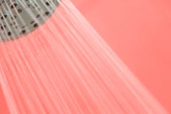 Χρώμα έννοιας τάσης του κοραλλιού διαβίωσης έτους 2019 στοκ φωτογραφίες Χρώμα έννοιας τάσης του κοραλλιού διαβίωσης έτους 2019 στοκ φωτογραφίες