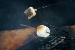 Ψήνοντας Marshmallows πέρα από μια πυρκαγιά στοκ εικόνα Ψήνοντας Marshmallows πέρα από μια πυρκαγιά στοκ εικόνα