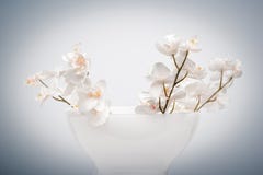 ψεύτικο vase λουλουδιών στοκ εικόνα ψεύτικο vase λουλουδιών στοκ εικόνα