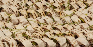 Ψημένο στη σχάρα κρέας pita με την κινηματογράφηση σε πρώτο πλάνο πρασίνων στοκ εικόνα Ψημένο στη σχάρα κρέας pita με την κινηματογράφηση σε πρώτο πλάνο πρασίνων στοκ εικόνα
