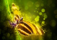 ψηφιακό fractal φαντασίας πεταλούδων παρήγαγε γραφικό ψηφιακό fractal φαντασίας πεταλούδων παρήγαγε γραφικό