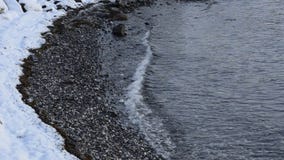 Όμορφα ήρεμα κρύα κύματα που χτυπούν τη δύσκολη ακροθαλασσιά το χειμώνα με το παλιό άσπρο χιόνι απόθεμα βίντεο Όμορφα ήρεμα κρύα κύματα που χτυπούν τη δύσκολη ακροθαλασσιά το χειμώνα με το παλιό άσπρο χιόνι απόθεμα βίντεο