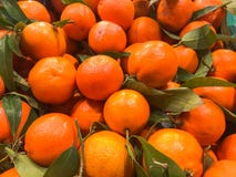 Όμορφα κίτρινα φυσικά γλυκά νόστιμα ώριμα μαλακά στρογγυλά φωτεινά φωτεινά tangerines, φρούτα, κλημεντίνες Σύσταση, ανασκόπηση στοκ φωτογραφία με δικαίωμα ελεύθερης χρήσης Όμορφα κίτρινα φυσικά γλυκά νόστιμα ώριμα μαλακά στρογγυλά φωτεινά φωτεινά tangerines, φρούτα, κλημεντίνες Σύσταση, ανασκόπηση στοκ φωτογραφία με δικαίωμα ελεύθερης χρήσης