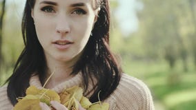 όμορφες νεολαίες γυναικών πορτρέτου brunette Κορίτσι στα φύλλα πουλόβερ και φθινοπώρου στα χέρια της κίνηση αργή απόθεμα βίντεο όμορφες νεολαίες γυναικών πορτρέτου brunette Κορίτσι στα φύλλα πουλόβερ και φθινοπώρου στα χέρια της κίνηση αργή απόθεμα βίντεο