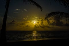 Όμορφη ανατολή στην παραλία Punta Cana με τον ήλιο που απεικονίζει στη θάλασσα και την υγρή άμμο στοκ εικόνες Όμορφη ανατολή στην παραλία Punta Cana με τον ήλιο που απεικονίζει στη θάλασσα και την υγρή άμμο στοκ εικόνες