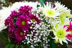 Όμορφη ανθοδέσμη με τα asters, τα χρυσάνθεμα, το gypsophila και τα gerberas στοκ φωτογραφίες Όμορφη ανθοδέσμη με τα asters, τα χρυσάνθεμα, το gypsophila και τα gerberas στοκ φωτογραφίες