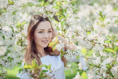Όμορφη νέα γυναίκα brunette που στέκεται κοντά στο δέντρο μηλιάς στοκ φωτογραφίες με δικαίωμα ελεύθερης χρήσης Όμορφη νέα γυναίκα brunette που στέκεται κοντά στο δέντρο μηλιάς στοκ φωτογραφίες με δικαίωμα ελεύθερης χρήσης