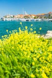 Όμορφη σλοβένικη πόλη Izola ακτών στοκ φωτογραφία με δικαίωμα ελεύθερης χρήσης Όμορφη σλοβένικη πόλη Izola ακτών στοκ φωτογραφία με δικαίωμα ελεύθερης χρήσης