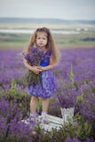 Όμορφη συνεδρίαση νέων κοριτσιών lavender στον τομέα στο συμπαθητικό καπέλο boater με το πορφυρό λουλούδι σε το Στοκ εικόνες με δικαίωμα ελεύθερης χρήσης Όμορφη συνεδρίαση νέων κοριτσιών lavender στον τομέα στο συμπαθητικό καπέλο boater με το πορφυρό λουλούδι σε το Στοκ εικόνες με δικαίωμα ελεύθερης χρήσης