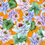 όμορφο floral πρότυπο άνευ ραφής Μεγάλα λουλούδια λωτού με τους μίσχους και φύλλα στο φωτεινό πορτοκαλί υπόβαθρο διανυσματική απεικόνιση όμορφο floral πρότυπο άνευ ραφής Μεγάλα λουλούδια λωτού με τους μίσχους και φύλλα στο φωτεινό πορτοκαλί υπόβαθρο διανυσματική απεικόνιση