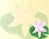 Όμορφο Lotus κρίνων Μια όμορφη ρεαλιστική απεικόνιση ενός κρίνου ή λωτός και του κρίνου που απομονώνονται άσπρο στενό σε επάνω υπ διανυσματική απεικόνιση Όμορφο Lotus κρίνων Μια όμορφη ρεαλιστική απεικόνιση ενός κρίνου ή λωτός και του κρίνου που απομονώνονται άσπρο στενό σε επάνω υπ διανυσματική απεικόνιση