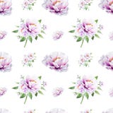 Όμορφο άσπρο peony άνευ ραφής σχέδιο r Floral σύσταση Σχέδιο δεικτών απεικόνιση αποθεμάτων Όμορφο άσπρο peony άνευ ραφής σχέδιο r Floral σύσταση Σχέδιο δεικτών απεικόνιση αποθεμάτων