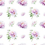 Όμορφο άσπρο peony άνευ ραφής σχέδιο r Floral σύσταση Σχέδιο δεικτών απεικόνιση αποθεμάτων Όμορφο άσπρο peony άνευ ραφής σχέδιο r Floral σύσταση Σχέδιο δεικτών απεικόνιση αποθεμάτων