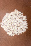 Όμορφο άσπρο umbellatum Ornithogalum snowdrops ανθοδεσμών, κήπος αστέρι--Βηθλεέμ, κρίνος χλόης, NAP--μεσημέρι, “κυρία ρολογιών έν στοκ φωτογραφία με δικαίωμα ελεύθερης χρήσης Όμορφο άσπρο umbellatum Ornithogalum snowdrops ανθοδεσμών, κήπος αστέρι--Βηθλεέμ, κρίνος χλόης, NAP--μεσημέρι, “κυρία ρολογιών έν στοκ φωτογραφία με δικαίωμα ελεύθερης χρήσης