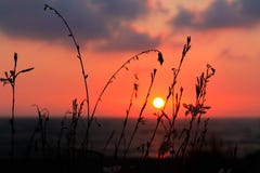 Όμορφο ηλιοβασίλεμα στην ακτή στοκ εικόνες Όμορφο ηλιοβασίλεμα στην ακτή στοκ εικόνες