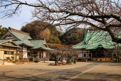 Όμορφος ιαπωνικός ναός σε Kamakura στοκ εικόνες Όμορφος ιαπωνικός ναός σε Kamakura στοκ εικόνες