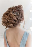 Όμορφος όγκος hairstyle για μια νύφη σε ένα ευγενές μπλε ελαφρύ φόρεμα με τα μεγάλα σκουλαρίκια και το στολισμό στην τρίχα Στοκ εικόνες με δικαίωμα ελεύθερης χρήσης Όμορφος όγκος hairstyle για μια νύφη σε ένα ευγενές μπλε ελαφρύ φόρεμα με τα μεγάλα σκουλαρίκια και το στολισμό στην τρίχα Στοκ εικόνες με δικαίωμα ελεύθερης χρήσης