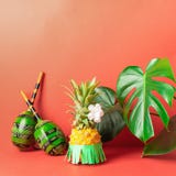 Ώριμος ανανάς maracas στα πράσινα φουστών σε ένα κόκκινο υπόβαθρο Έννοια αναψυχής και κομμάτων r στοκ φωτογραφία με δικαίωμα ελεύθερης χρήσης Ώριμος ανανάς maracas στα πράσινα φουστών σε ένα κόκκινο υπόβαθρο Έννοια αναψυχής και κομμάτων r στοκ φωτογραφία με δικαίωμα ελεύθερης χρήσης