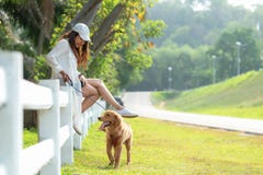 Азиатская женщина образа жизни играя с собакой приятельства золотого retriever в восходе солнца стоковое изображение Азиатская женщина образа жизни играя с собакой приятельства золотого retriever в восходе солнца стоковое изображение