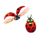Акварели покрашенные Ladybug на белизне иллюстрация штока Акварели покрашенные Ladybug на белизне иллюстрация штока